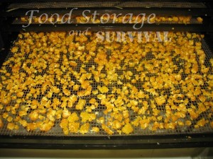 How to freeze or dehydrate corn