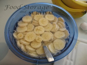 How to make banana chips by dehydrating bananas!