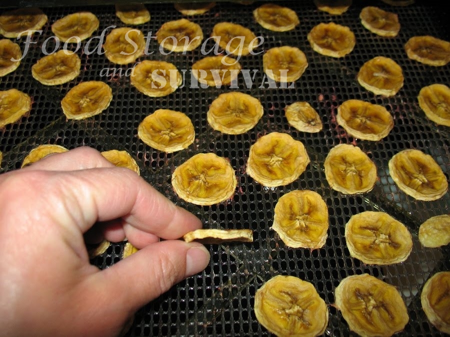 Making Banana Chips by Dehydrating Bananas