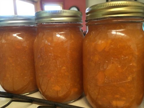 How to make apricot freezer jam! So easy even a busy mom can do it!