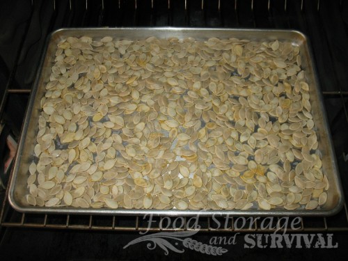 Easy Roasted Salted Pumpkin Seeds!  Doing this with my Halloween pumpkins!