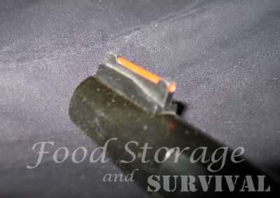 How to hit what you're aiming for.  Sight alignment and sight picture for firearms beginners!  Food Storage and Survival