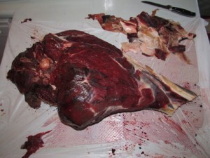 How to cut up an elk hind quarter