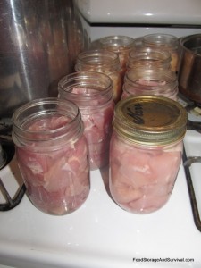 Canning pork or chicken
