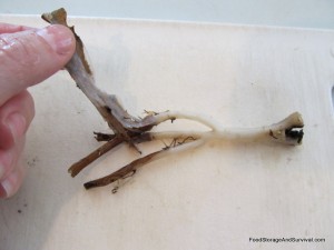 Slipping peels off after boiling/cooling