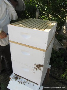 Honey super on the hive bodies.