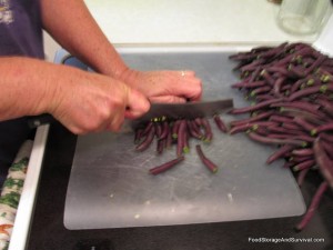 Cutting beans