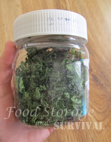 Drying herbs in a dehydrator--Food Storage and Survival