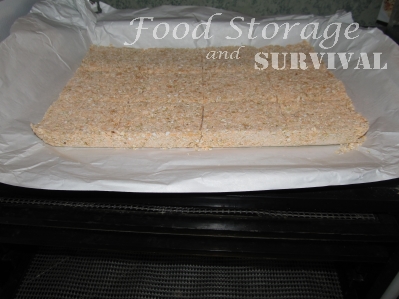 How to make your own Survival bars!  Easy and perfect for emergency kits.  Food Storage and Survival