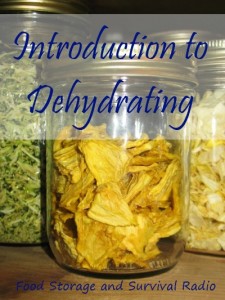 Introduction to dehydrating--Food Storage and Survival Radio