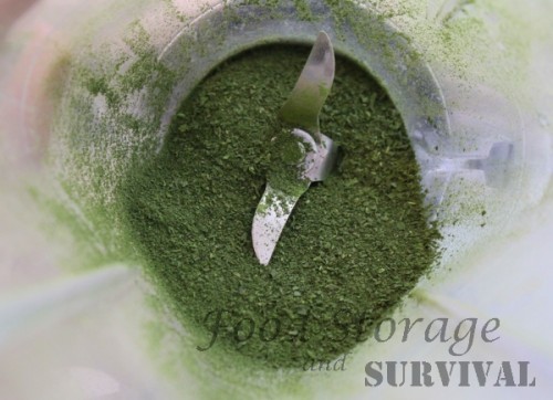 How to dehydrate kale for flakes or powder!  Easy!  Food Storage and Survival