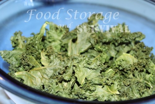 How to dehydrate kale for flakes or powder!  Easy!  Food Storage and Survival