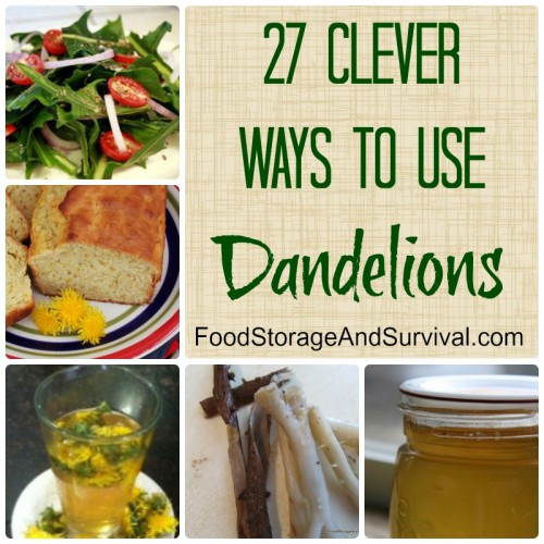 Don't spray those sunny yellow flowers! 27 Clever Ways to Use Dandelions!
