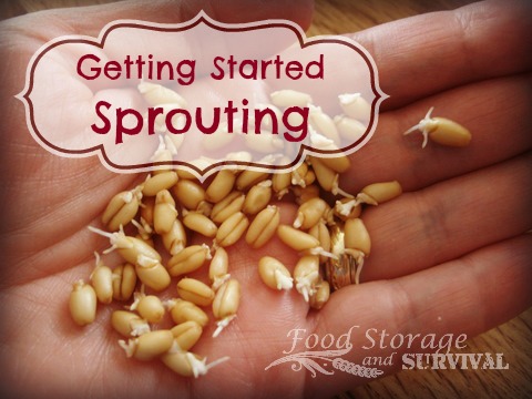 Getting Started Sprouting! What you need and how to do it!