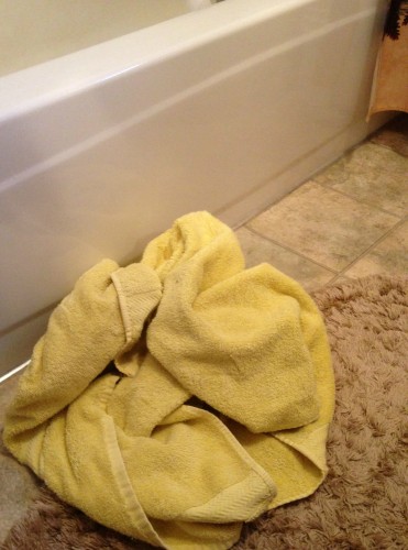 The best method to get the SMELL out of towels (because it actually works!) -- Food Storage and Survival
