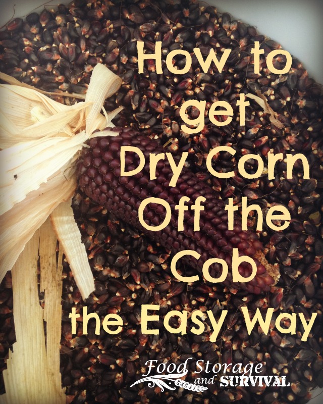 How To Get Dry Corn Off The Cob The Easy Way