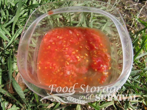 How to save seeds from a tomato--Food Storage and Survival
