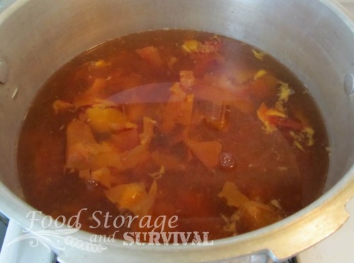 Put those peach peels and pits to use with this delicious Peach Peel and Pit Jelly! from http://foodstorageandsurvival.com