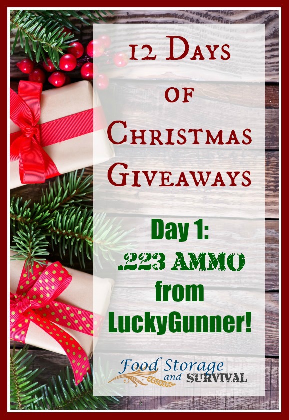 12 Days of Christmas Giveaways: Day 1–Lucky Gunner Ammo