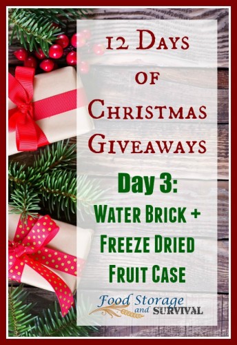 12 days of Christmas giveaways! Day 3: WaterBrick + Freeze dried fruit combo! Ends 12/5/15
