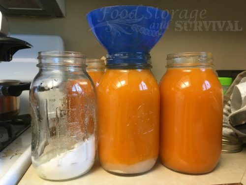 Making and canning your own homemade delicious apricot nectar is so easy! Step by step directions here!