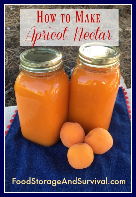 How to Make and Can Apricot Nectar