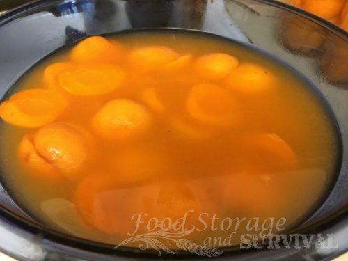 Making and canning your own homemade delicious apricot nectar is so easy! Step by step directions here!