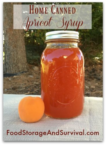 Making and canning delicious apricot syrup! Step by step directions here!