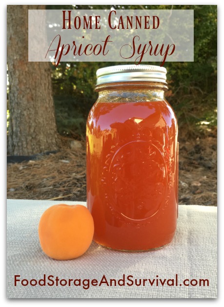 Making and Canning Delicious Apricot Syrup