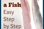 How to Filet a Fish