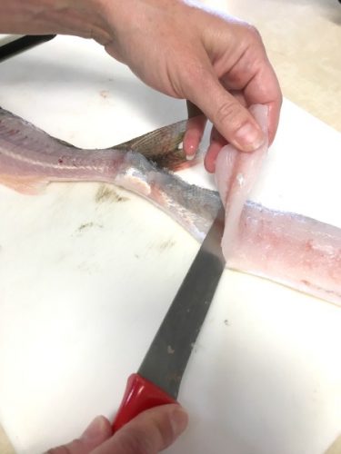 How to filet a fish. Easy step by step instructions!