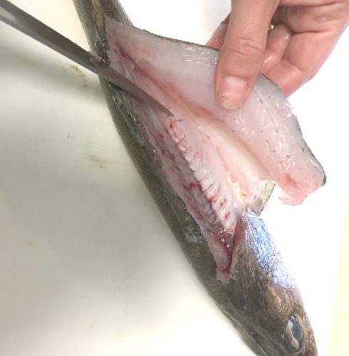 How to filet a fish. Easy step by step instructions!