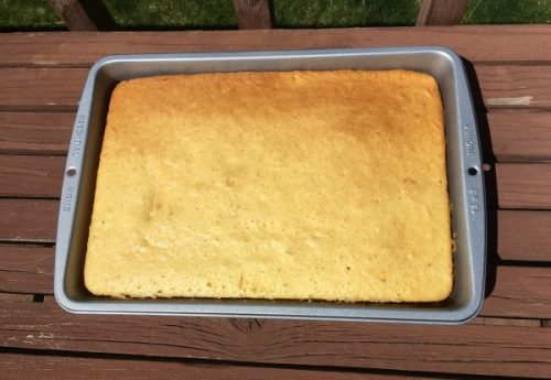 Baking a cake in a solar oven at 60 degrees! Review of solavore sport TR-86 reflector panels