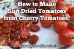 The Best Use for Extra Cherry Tomatoes! How to Make Sun Dried Tomatoes